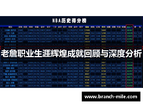 老詹职业生涯辉煌成就回顾与深度分析