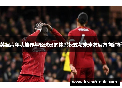英超青年队培养年轻球员的体系模式与未来发展方向解析 英超青年队培养年轻球员的体系模式与未来发展方向解析