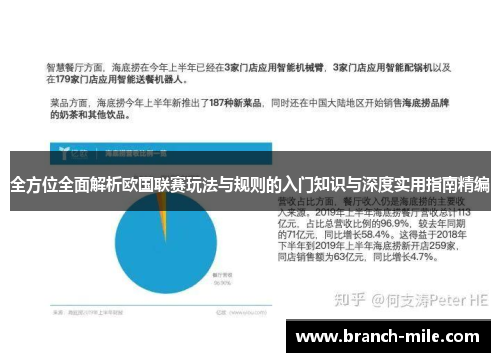 全方位全面解析欧国联赛玩法与规则的入门知识与深度实用指南精编 全方位全面解析欧国联赛玩法与规则的入门知识与深度实用指南精编