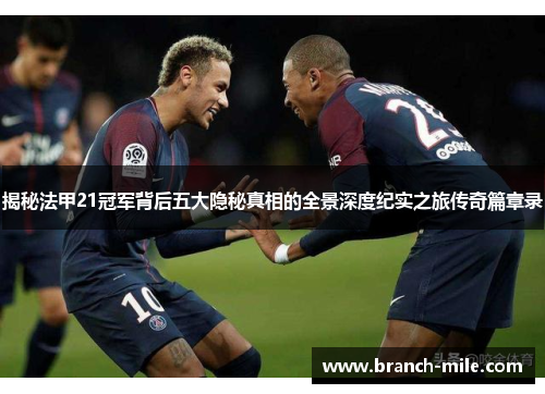 揭秘法甲21冠军背后五大隐秘真相的全景深度纪实之旅传奇篇章录