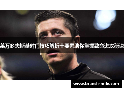 莱万多夫斯基射门技巧解析十要素助你掌握致命进攻秘诀 莱万多夫斯基射门技巧解析十要素助你掌握致命进攻秘诀
