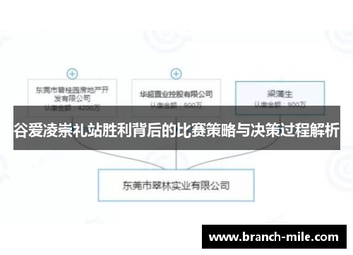 谷爱凌崇礼站胜利背后的比赛策略与决策过程解析 谷爱凌崇礼站胜利背后的比赛策略与决策过程解析