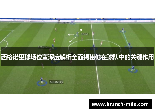 西格诺里球场位置深度解析全面揭秘他在球队中的关键作用 西格诺里球场位置深度解析全面揭秘他在球队中的关键作用