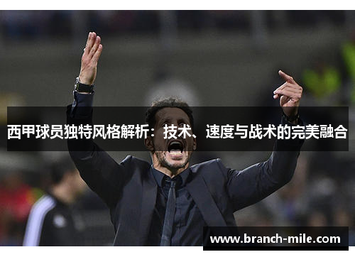 西甲球员独特风格解析：技术、速度与战术的完美融合