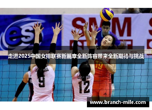 走进2025中国女排联赛新篇章全新阵容带来全新期待与挑战