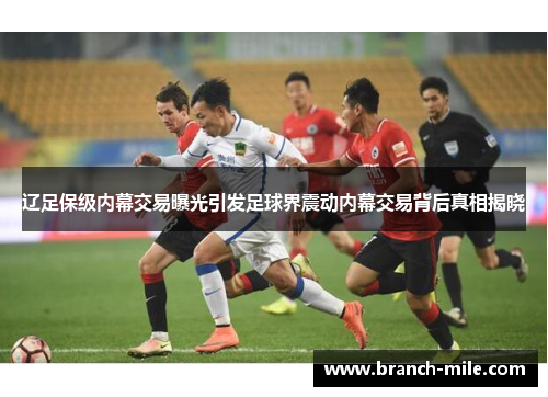 辽足保级内幕交易曝光引发足球界震动内幕交易背后真相揭晓