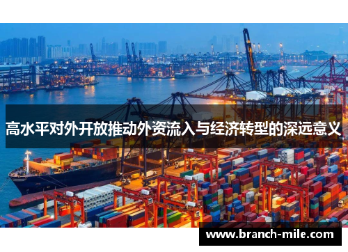 高水平对外开放推动外资流入与经济转型的深远意义