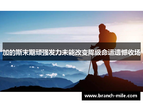 加的斯末期顽强发力未能改变降级命运遗憾收场 加的斯末期顽强发力未能改变降级命运遗憾收场